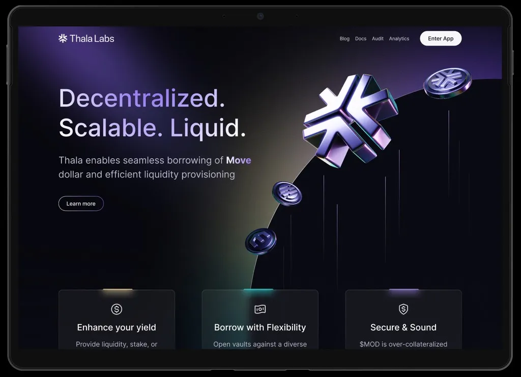 Thala Labs case study image 5